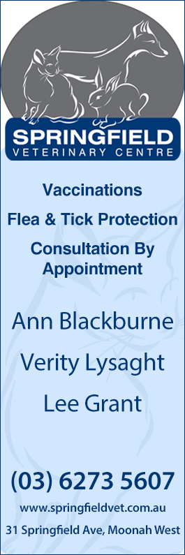 Springfield Veterinary Centre