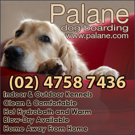 Palane Blue Mountains Dog & Cat Boarding