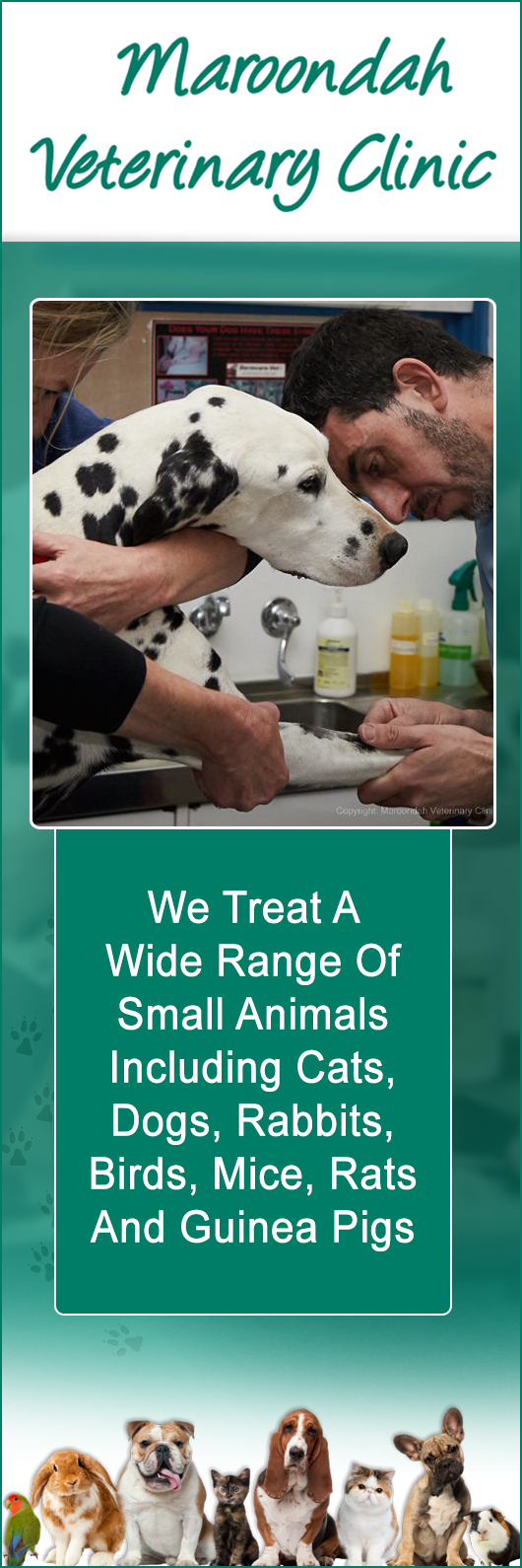 Maroondah Veterinary Clinic