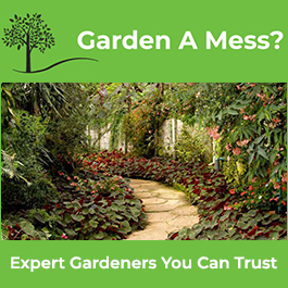 Garden A Mess