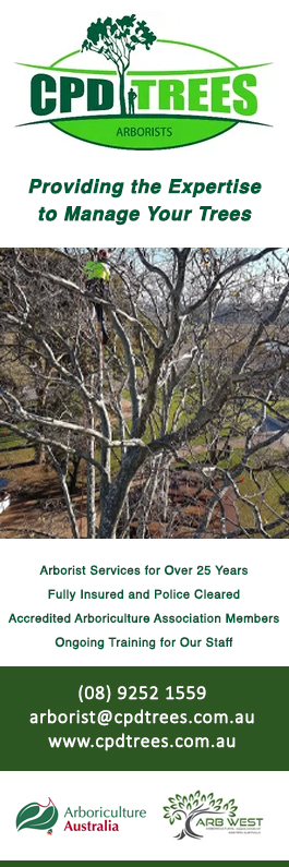 CPD Tree Services