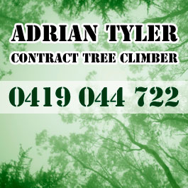 Adrian Tyler