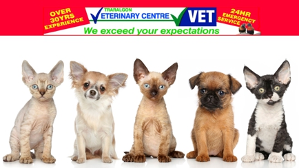 Traralgon Veterinary Centre Hero Image