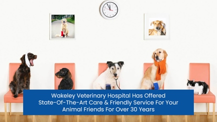 Fairfield West Veterinary Surgeons Hero Image
