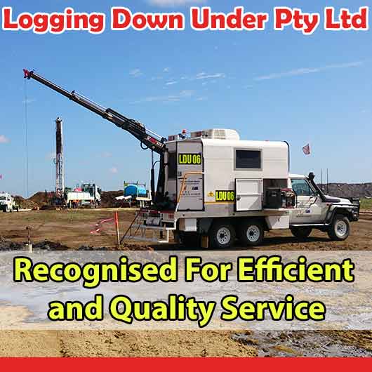 Logging Down Under Pty Ltd