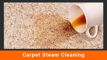 Springfresh Carpet Cleaning Hero Image