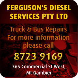 Ferguson's Diesel Services Pty Ltd