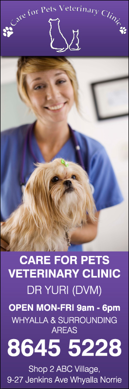 Care for Pets Veterinary Clinic