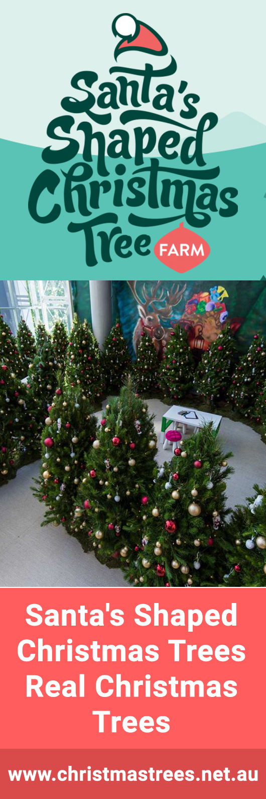 Santa's Shaped Christmas Trees Pty Ltd