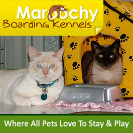 Maroochy Boarding Kennels
