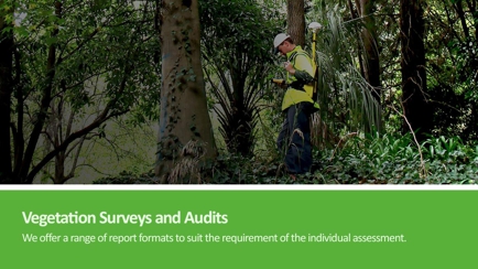 Arborman - Tree Solutions Hero Image