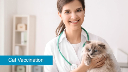 Reynella Veterinary Clinic Hero Image