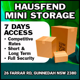 Hausfeld Mini Storage