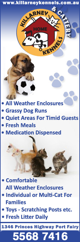 Killarney Kennels & Cattery