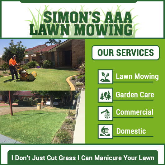 Simon's AAA Lawn Mowing