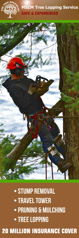 MSZ Tree Lopping Service