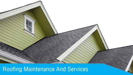 Jacana Roofing Hero Image