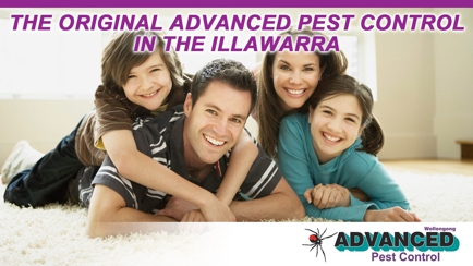 Advanced Pest Control Wollongong Hero Image