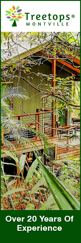 Treetops Montville