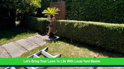 Local Yard Master Hero Image
