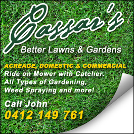Cassar's Better Lawns & Gardens