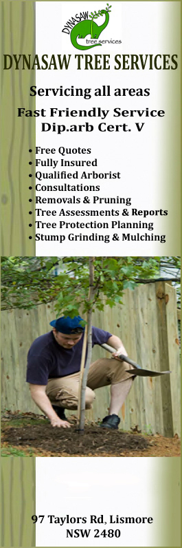 Dynasaw Tree Services