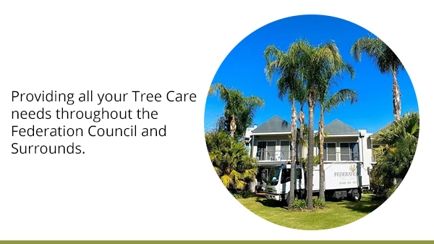 Federation Tree Care Hero Image