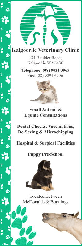 Kalgoorlie Veterinary Clinic