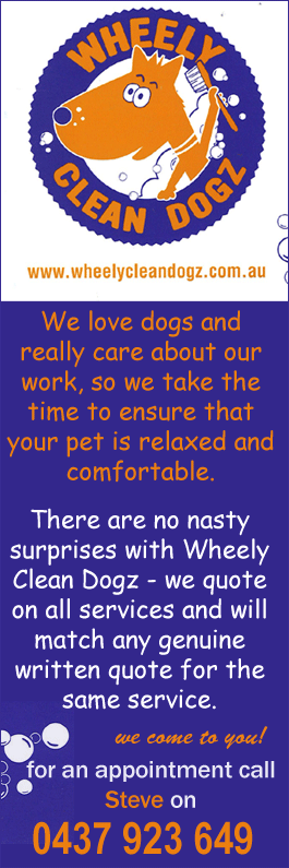 Wheely Clean Dogz