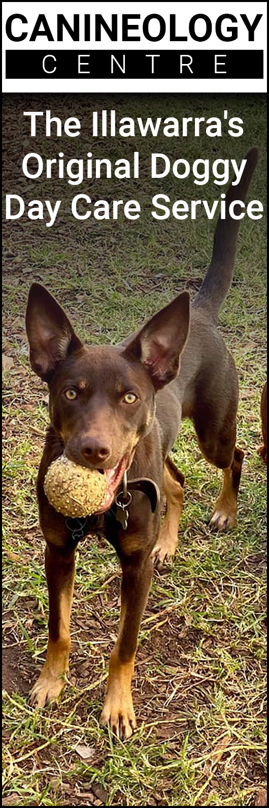 Canineology