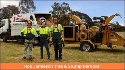 Rob Jamieson Tree & Stump Removal Hero Image