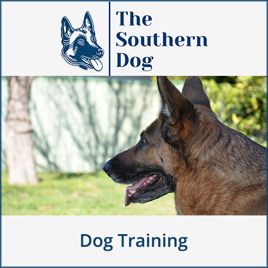 The Southern Dog