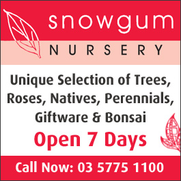 Snowgum Nursery