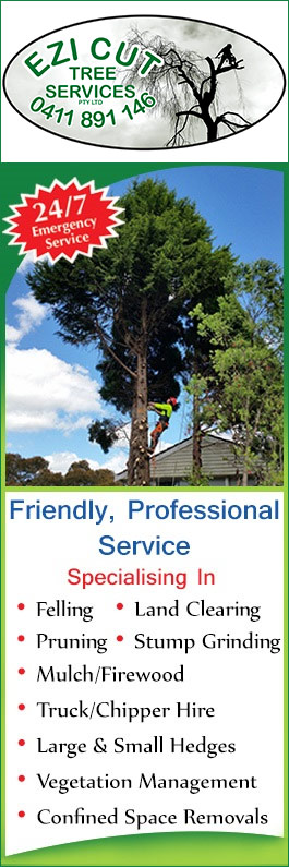 Ezi cut tree services