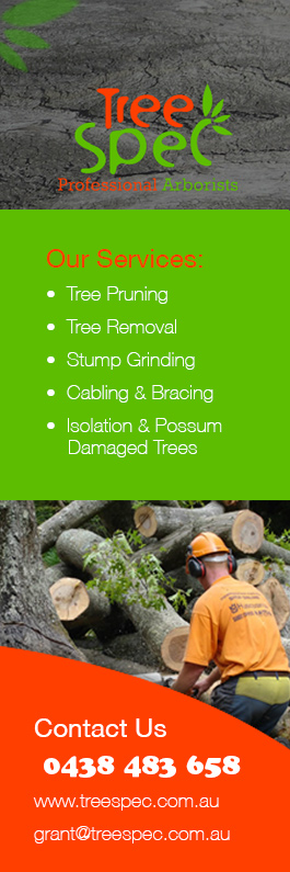 TreeSpec Professional Arborists