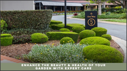 Evolve Gardens & Landscaping Hero Image