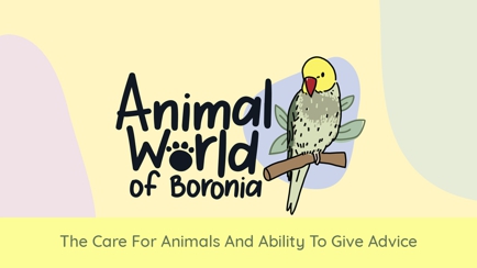 Animal World of Boronia Hero Image