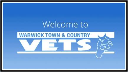 Warwick Town & Country Vets Hero Image