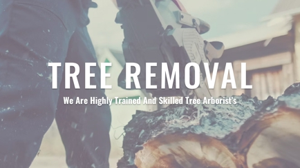 Bulldog Trees Hero Image