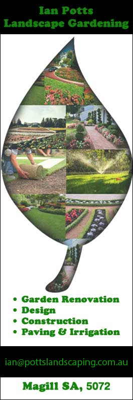 Ian Potts Landscape Gardening