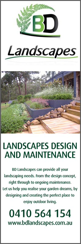BD landscapes