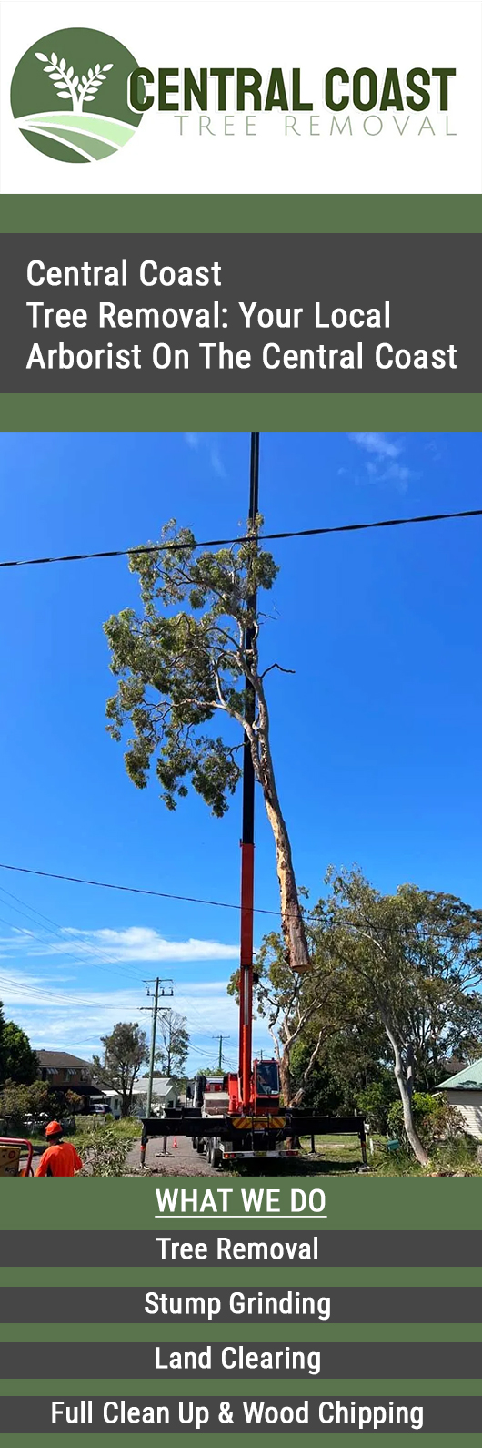 Central Coast Tree Removal