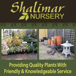 Shalimar Nursery