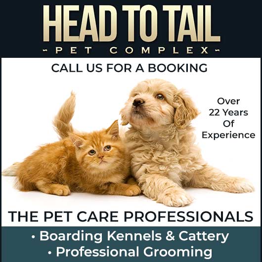 Head to Tail Pet Complex