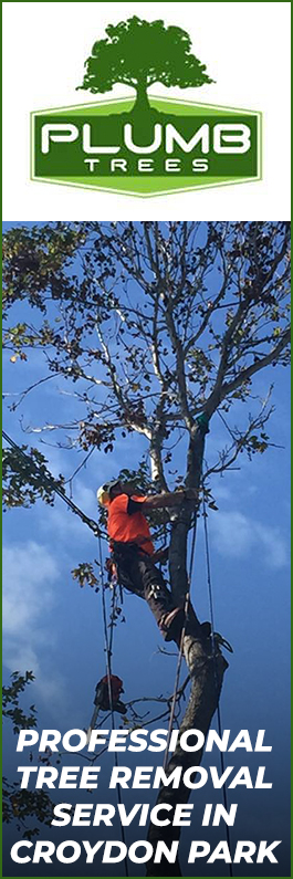 Plumb Trees