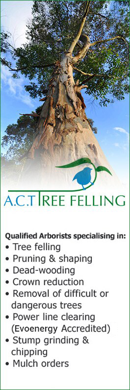 ACT Tree Felling