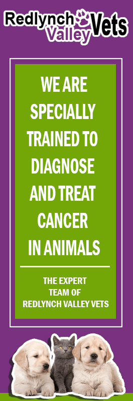Redlynch Valley Vets