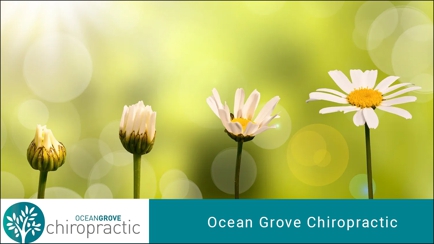 Ocean Grove Chiropractic Hero Image