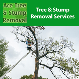 Ace Tree & Stump Removal