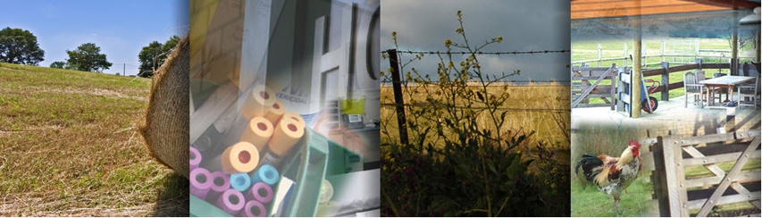 Hesse Rural Health - Community Health Centres Hero Image